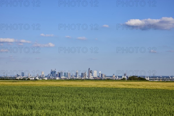 Cultural landscape, fields, agriculture, total views, skyline, view of Frankfurt am Main, haze, blue sky, cumulus clouds, Steinbach, Taunus, Hochtaunus district, Hesse, Germany
