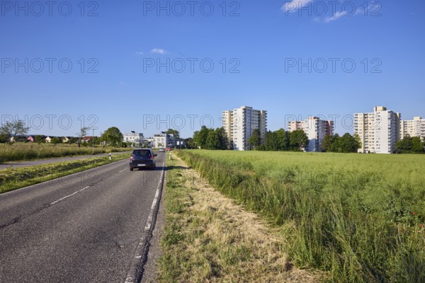 View of skyscrapers on NiederhöchstÃ¤dter StraÃŸe, fields, cultivated landscape, oilseed rape (Brassica napus), car, skyscrapers, residential buildings, trees, blue sky, cumulus clouds, Sodener StraÃŸe, Steinbach, Taunus, Hochtaunus, Hesse, Germany