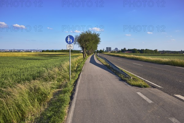 Cultural landscape, fields, agriculture, cornfield, footpath and cycle path, road sign special path for pedestrians, additional sign bicycles free, road, guardrail, general architecture, side light, shadow, blue sky, cumulus clouds, country road L3006, Eschborner StraÃŸe, Steinbach, Taunus, Hochtaunus, Hesse, Germany