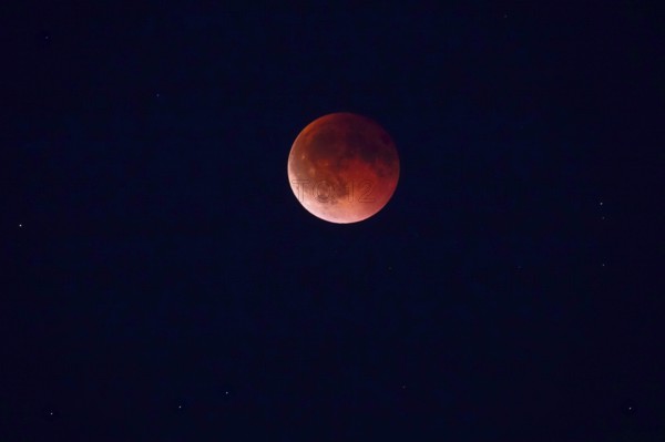 Lunar eclipse on 07.09.2025, Dresden, Saxony, Germany