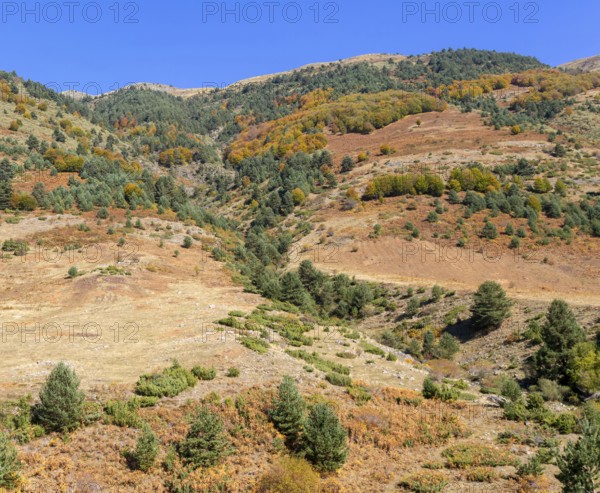 Mountain landscape Guarrinza - La Mina, Aragon Subordan river valley, Parque Natural Valles Occidentales, Hecho, Pyrenees Mountains, Aragon, Spain