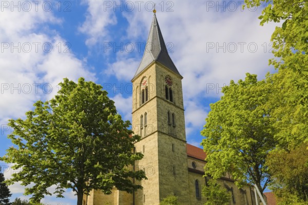 St. Martinus, catholic church, place of worship, sacral building, church tower, clock, cross, religious building, Dotternhausen, Zollernalbkreis, Baden-Württemberg, Germany