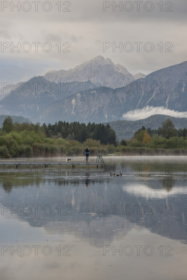 Woman (40-50) with dog on a wooden footbridge at sunrise, Hopfensee, near Füssen, Ostallgäu, behind the Tannheimer mountains, Allgäu, Bavaria, Germany