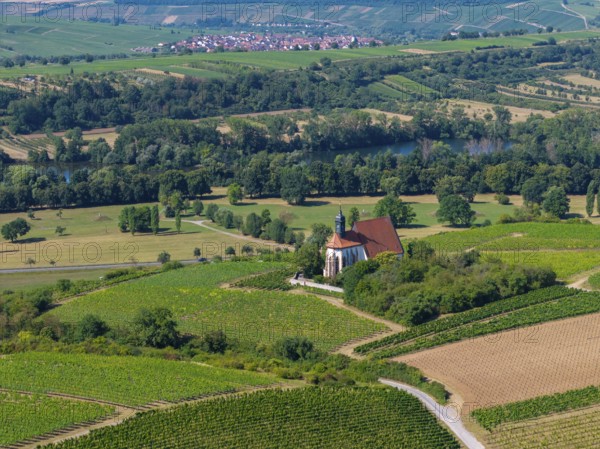 Pilgrimage church Maria im Weingarten, in the middle of extensive vineyards with a view of a river, aerial view, near Volkach am Main, Lower Franconia, Mainfranken, Bavaria, Germany