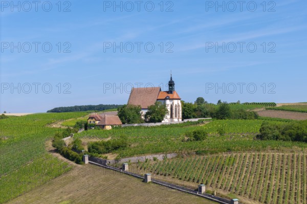 Pilgrimage church Maria im Weingarten, in the middle of green vineyards on a sunny day, near Volkach am Main, Lower Franconia, Mainfranken, Bavaria, Germany