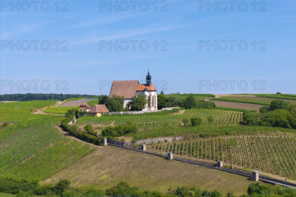 Pilgrimage church Maria im Weingarten, surrounded by vineyards under a clear blue sky, aerial view, near Volkach am Main, Lower Franconia, Mainfranken, Bavaria, Germany
