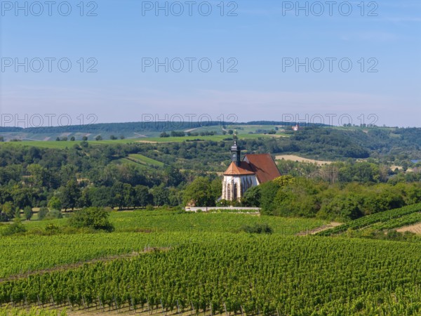 Pilgrimage church Maria im Weingarten, in the middle of vineyards with wooded hills in the background, aerial view, near Volkach am Main, Lower Franconia, Mainfranken, Bavaria, Germany