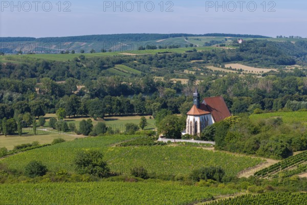 Pilgrimage church Maria im Weingarten, amidst green vineyards and rolling hills in a rural summer landscape, aerial view, near Volkach am Main, Lower Franconia, Mainfranken, Bavaria, Germany