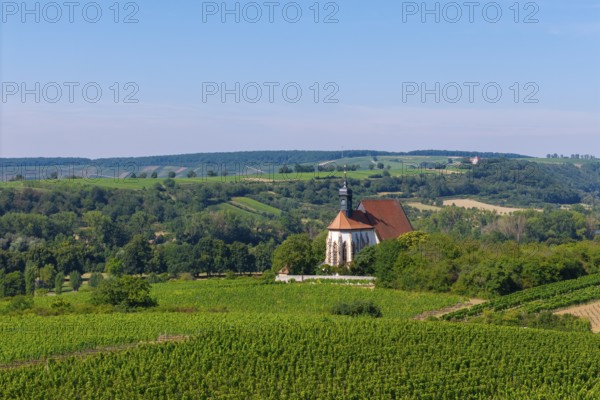 Pilgrimage church Maria im Weingarten, with vineyards in the foreground and hills in the background, aerial view, near Volkach am Main, Lower Franconia, Mainfranken, Bavaria, Germany