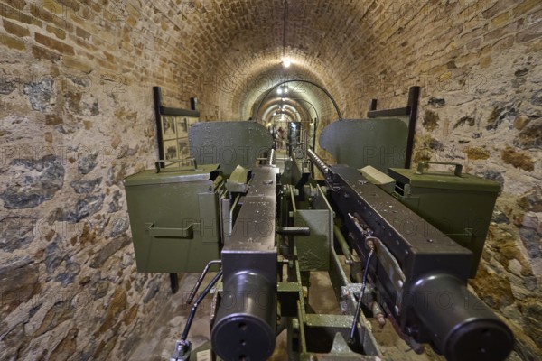Two cannons displayed in a stone vault of a museum, machine gun, anti-aircraft gun, twin socketed gun carriage, war museum, military museum, tunnel museum, Lakki, Leros, WW2, Dodecanese, Greek Islands, Greece