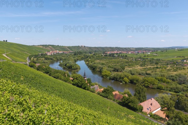 Mainschleife in summer, charburner near Volkach, behind Escherndorf, aerial view, Lower Franconia, Franconia, Bavaria, Germany