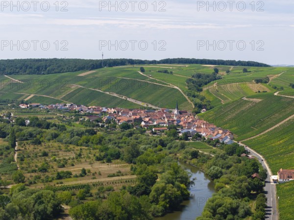 Small village surrounded by green hills and farmland, flanked by a river, Escherndorf near Volkach, Main, Mainfranken, Mainschleife, Franconia, Lower Franconia, Bavaria, Germany