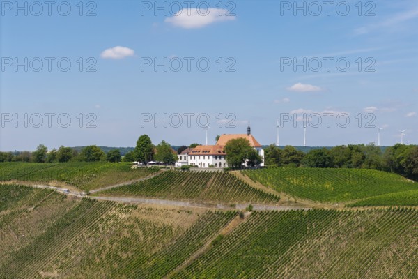 Rural scene with vineyards, a white building with a red roof and wind turbines in the background under a blue sky, Monastery Church of the Protection of the Virgin Mary, Vogelsburg near Volkach, Mainfranken, Mainschleife, Franconia, Lower Franconia, Bavaria, Germany