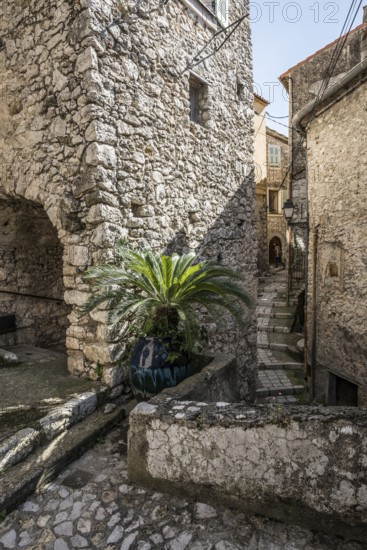 Picturesque medieval mountain village, Peillon, near Monaco, Cote d'Azur, Alpes-Maritimes, Provence-Alpes-Cote-d'Azur, South of France, France