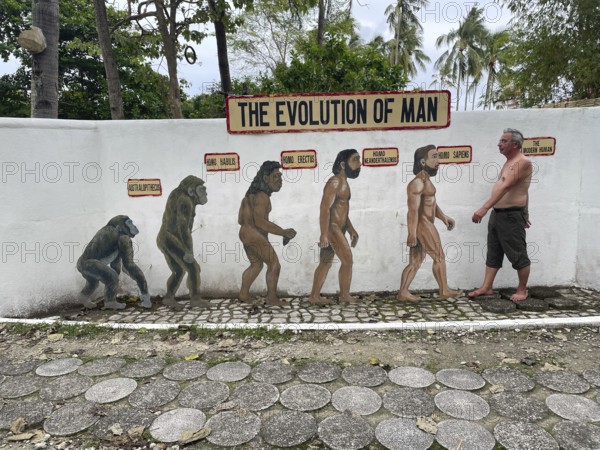 Evolution of anatomically modern man (Homo sapiens), parody, satire, funny, humour, evolution backwards, Negros, Philippines