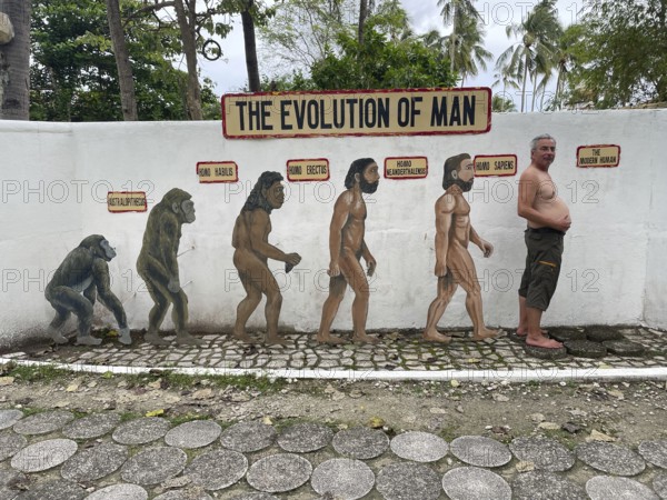 Evolution of anatomically modern man (Homo sapiens), parody, satire, funny, humour, big belly, overweight, Negros, Philippines
