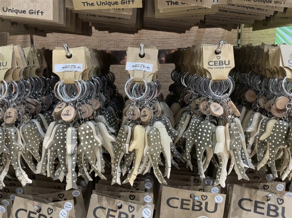 Souvenir, whale shark key ring, Cebu, Philippines