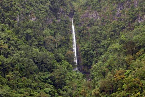 Tropical rainforest, protected area, Northern Negros Natural Park, waterfall, Negros, Northern Negros, Philippines