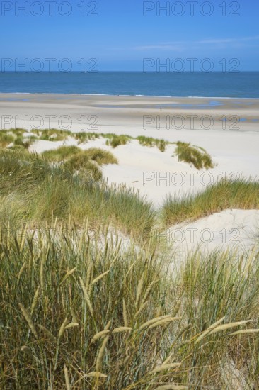 Domburg, Zeeland, Netherlands - Noordduine Domburg beach
