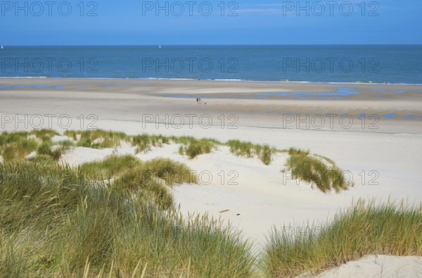 Domburg, Zeeland, Netherlands - Noordduine Domburg beach