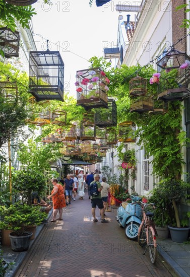 Middelburg, Zeeland, Netherlands - Reigerstraat. The small alleyway in the old town centre, here called Vogelbauer, is one of the town's attractions. There are many cafés and shops in the neighbourhood