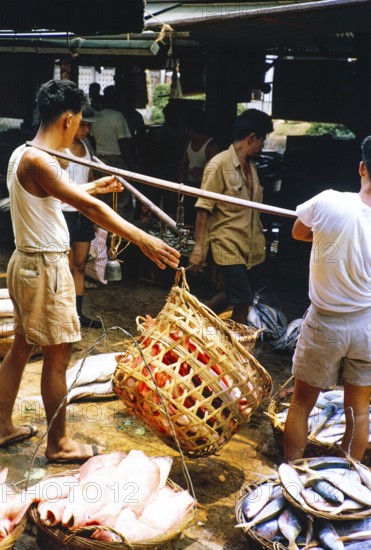 Weighing baskets of fish at the old fish market, Johor Bahru, Malaysia, Southeast Asia 1963