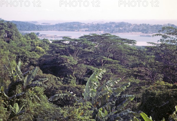 View over tropical rainforest trees to Sentosa island from from Mount Faber, Singapore, southeast Asia, 1965