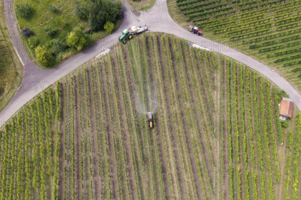 Extensive green vineyards from above with a tractor working between the rows, aerial view, spraying the vines against diseases, plant protection, near Korb, Baden-Württemberg, Germany