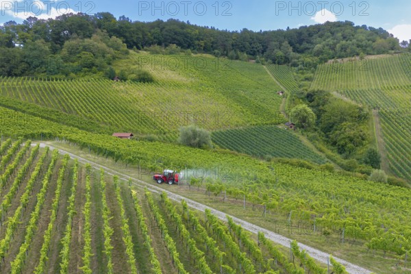 Hilly green vineyards with a tractor on a path, surrounded by nature and plants, aerial view, spraying the vines against diseases, plant protection, near Korb, Baden-Württemberg, Germany