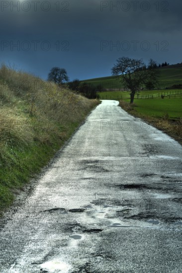 Scenic country road surrounded by grass and trees under a cloudy sky in rural landscape, Auvergne. France