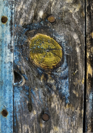Close-up view of weathered wood with blue and yellow markings against a rustic background