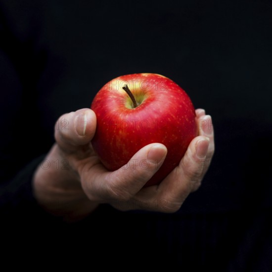 Bright red apple held gently in a hand against a dark background, showcasing a moment of simplicity and nature