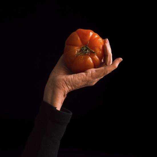 Woman's hand elegantly holding a ripe tomato against a black background