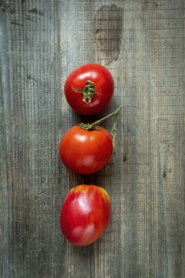 Freshly picked ripe tomatoes showcasing vibrant colors and textures on rustic wooden surface