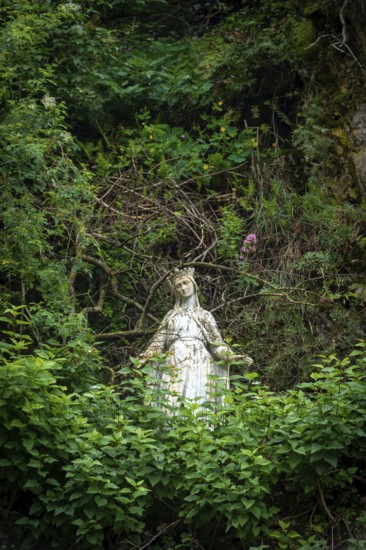 A tranquil statue of Virgin Mary stands amidst dense green foliage, with branches encircling it. France