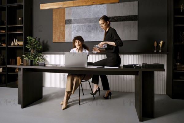 In a stylish office, two women engage in a collaborative discussion. One woman sits at a sleek desk, intently viewing a laptop, while the other stands nearby, pouring water into a glass