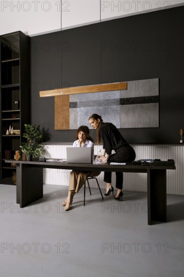 Two professionals engage in a collaborative effort at a sleek office workspace. One woman is seated at a desk, while the other stands beside her, both focused on a laptop and sharing ideas