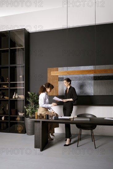 Two businesswomen are looking for a solution of an issue reading papers in an office. One woman stands at a sleek desk reviewing documents while the other sits and takes notes