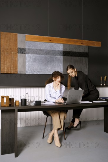 Two women engage in a business discussion in a stylish office. One woman is seated at a desk with a laptop, while the other stands nearby, reviewing the screen