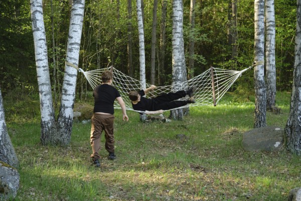 Two children spend a sunny afternoon in a forest, one relaxing in a hammock strung between birch trees while the other approaches with playful curiosity. Lush greenery surrounds them