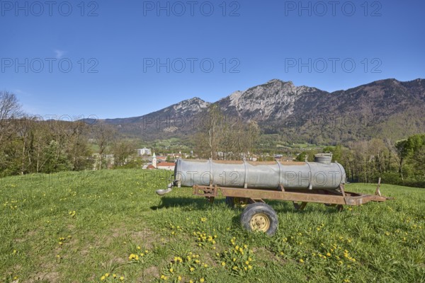 Cattle trough, mountain landscape, mountains, meadow, common dandelion (Taraxacum sect. Ruderalia), trees, blue sky, cloudless, Bad Reichenhall, district Berchtesgadener Land, Bavaria, Germany