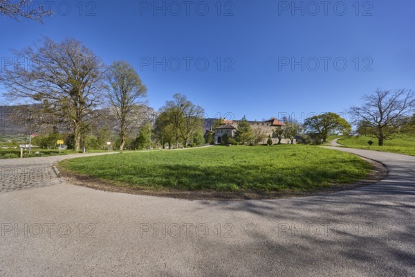 Street, landscape, landscape photography, trees, lawn, footpath, blue sky, cloudless, Gmainer Straße, Pfannhauserweg, Bad Reichenhall, Berchtesgadener Land district, Bavaria, Germany