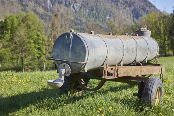 Cattle trough, agricultural equipment, cultural landscape, agriculture, mountain landscape, mountains, meadow, trees, depth of field, blue sky, cloudless, Bad Reichenhall, Berchtesgadener Land district, Bavaria, Germany