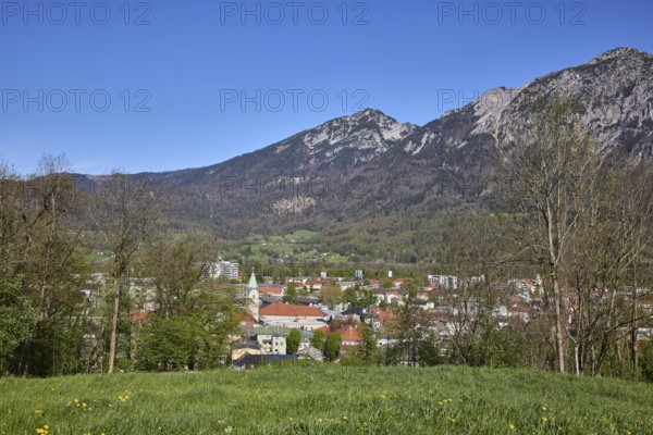 Landscape, landscape photography, mountain landscape, mountains, meadow, trees, coniferous forest, bird's eye view, blue sky, cloudless, Bad Reichenhall, district Berchtesgadener Land, Bavaria, Germany