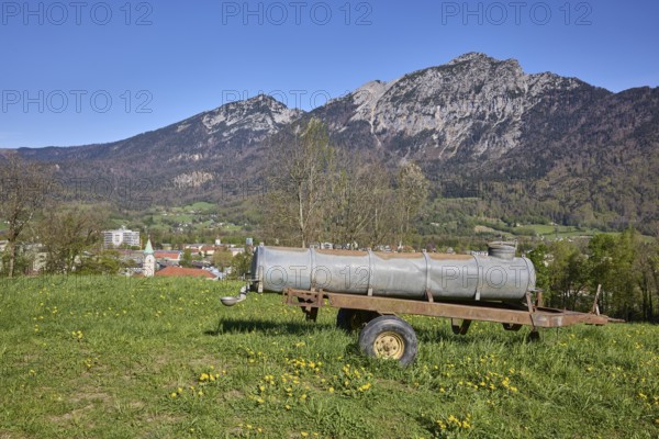 Cattle watering trough, agricultural equipment, cultural landscape, agriculture, mountain landscape, mountains, meadow, common dandelion (Taraxacum sect. Ruderalia), trees, blue sky, cloudless, Bad Reichenhall, district Berchtesgadener Land, Bavaria, Germany