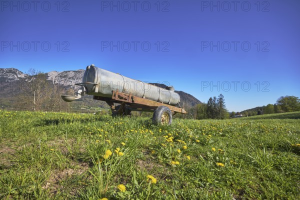 Cattle watering, agricultural equipment, cultural landscape, agriculture, mountain landscape, mountains, meadow, common dandelion (Taraxacum sect. Ruderalia), trees, frog perspective, blue sky, cloudless, Bad Reichenhall, district Berchtesgadener Land, Bavaria, Germany