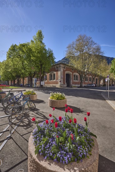 Historic buildings, bicycle stand, bicycle, flower pots, trees, backlight, blue sky, cloudless, Ludwigstraße, Unterer Lindenplatz, Aegidiplatz, Bad Reichenhall, Berchtesgadener Land district, Bavaria, Germany
