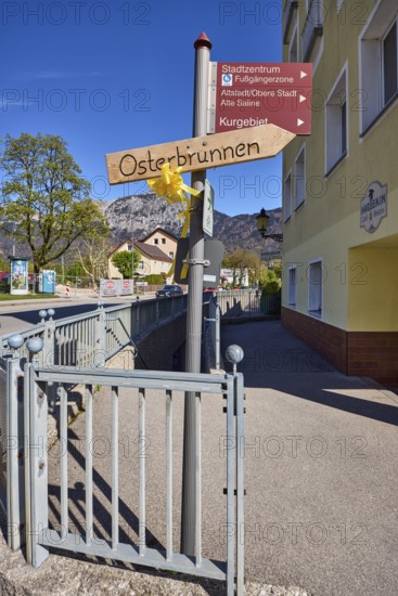 Signpost to the city centre, pedestrian zone, old town, old salt works, spa area and Easter fountain, tourist signpost, general architecture, trees, metal railings, mountains, sights, blue sky, cirrostratus clouds, federal road 20, intersection Anton-Winkler-Straße with Tiroler Straße, Bad Reichenhall, district Berchtesgadener Land, Bavaria, Germany