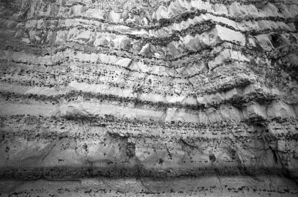 Cliff, cliffs, coastal landscape, rock formation, geological structures, black and white, Yport, chalk cliffs, alabaster coast, La Côte d'Albâtre, Normandy, Seine-Maritime, France