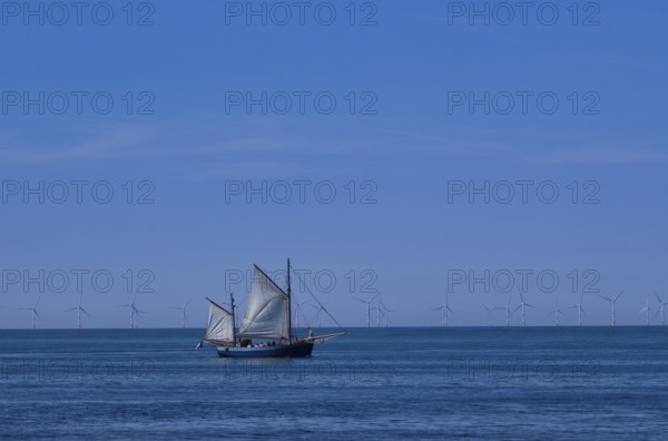 Tourist boat, sailing boat, sailing on sea, sky, blue, behind offshore wind farm, wind turbines, Yport, Normandy, Seine-Maritime, France